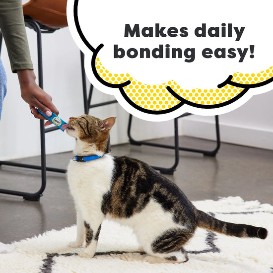 Make bonding easy with Temtpations Lickables Bundle