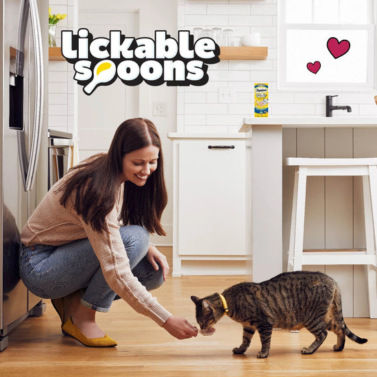 Temptations Lickable Spoons Bundle cat feeding treats in kitchen 