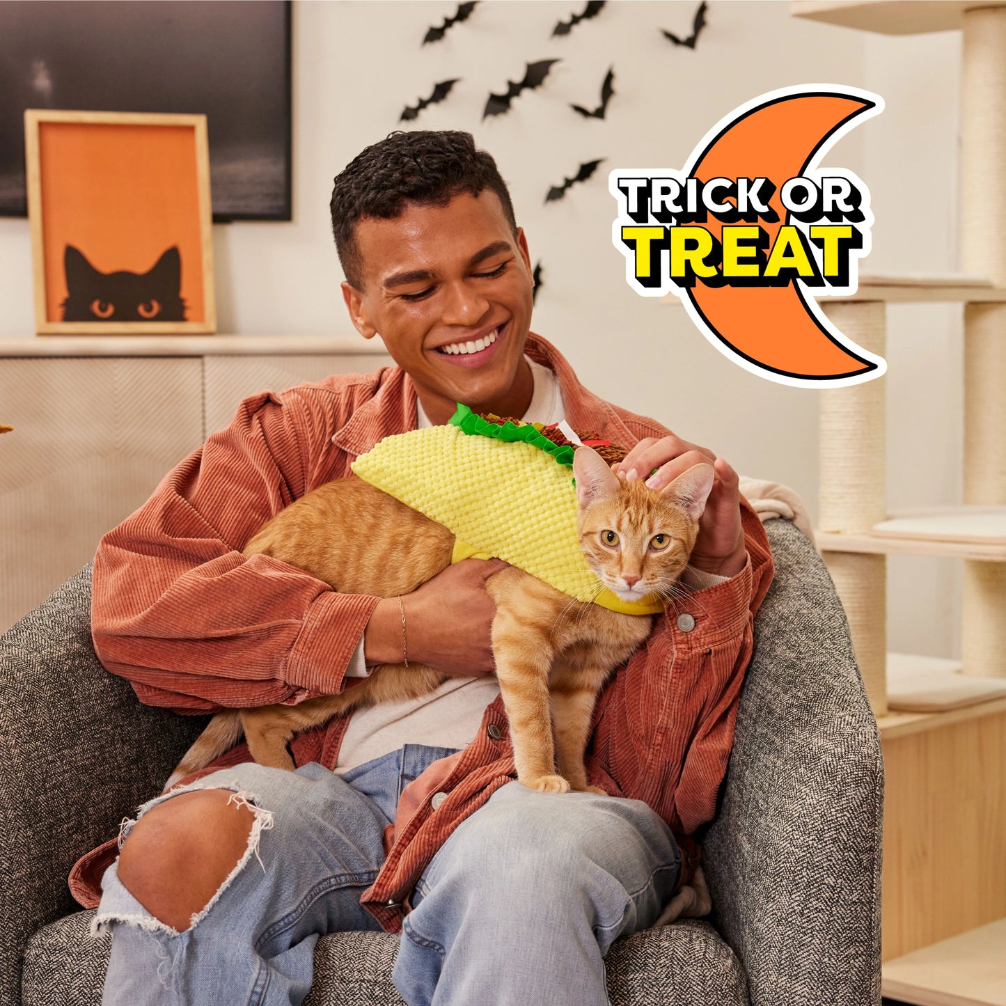 Trick or treat, cat in a taco costume with its owner