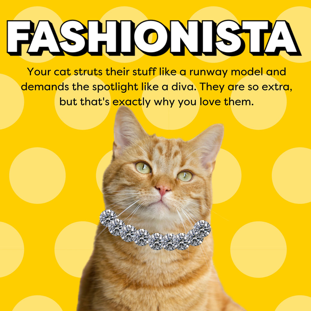 Fashionista: your cat struts their stuff like a runway model and demands the spotlight like a diva. They are so extra, but that's exactly why you love them