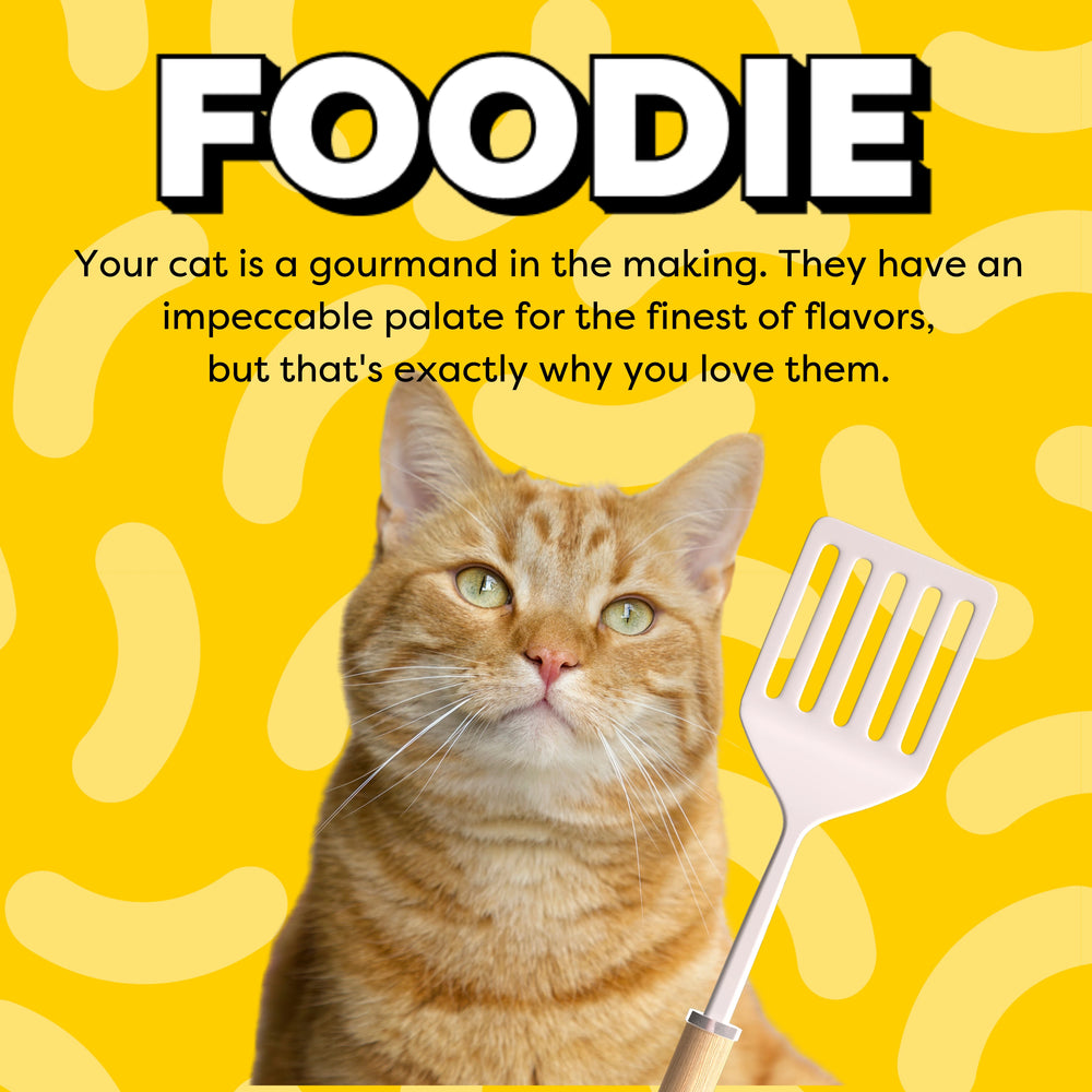 Foodie: your cat is a gourmand in the makin. They have an impeccable palate for the finest of flavors, but that's exactly why you love them