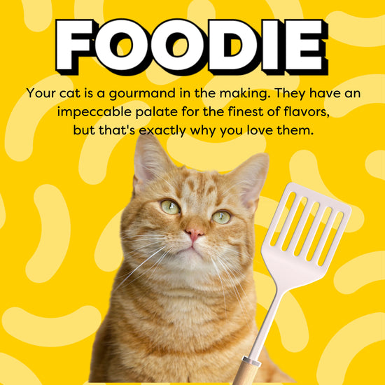 Foodie: your cat is a gourmand in the makin. They have an impeccable palate for the finest of flavors, but that's exactly why you love them