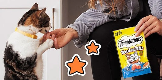 a cat licking a hand and a bag of cat treats