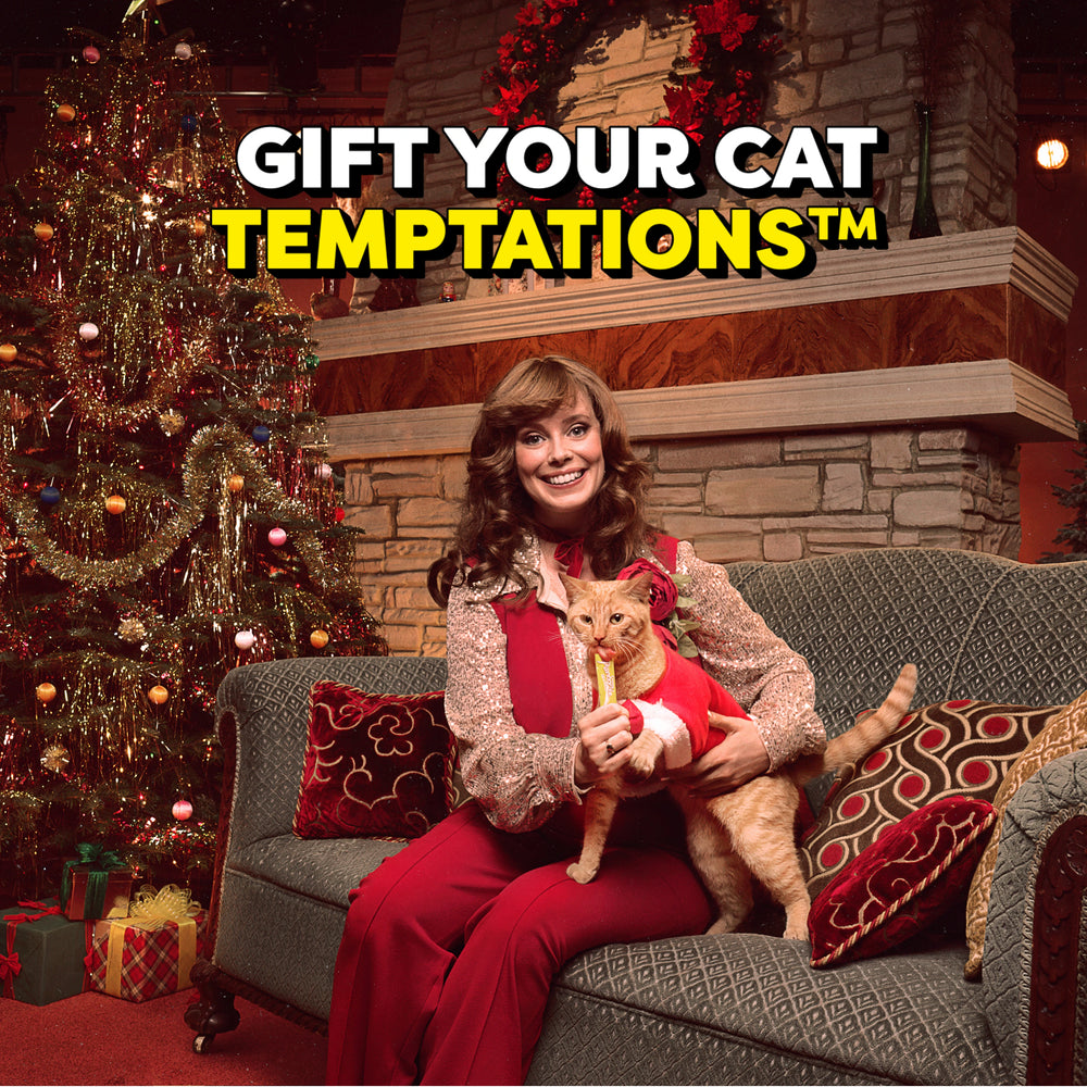 Give your cat temptations